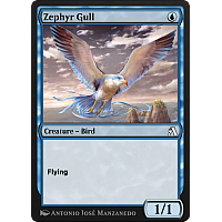 Zephyr Gull