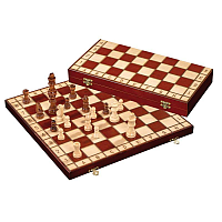 Chess/Schack- field 35mm (2629)