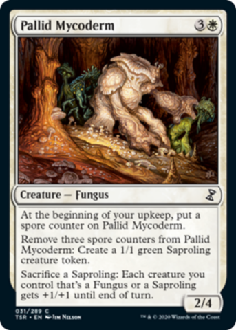 Pallid Mycoderm_boxshot