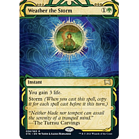 Weather the Storm (Foil) (Borderless)