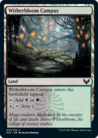Witherbloom Campus (Foil)_boxshot