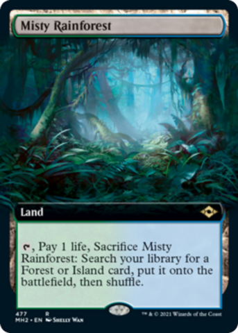 Misty Rainforest (Extended Art)_boxshot