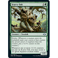 Scurry Oak