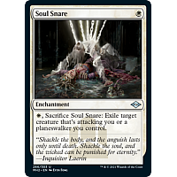 Soul Snare