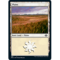 Plains