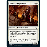 Veteran Dungeoneer (Foil)