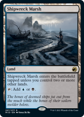 Shipwreck Marsh (Foil)_boxshot