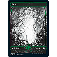 Forest (Full art)