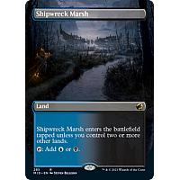 Shipwreck Marsh (Foil) (Borderless)
