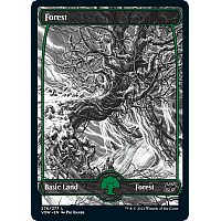 Forest (Showcase) (Foil)
