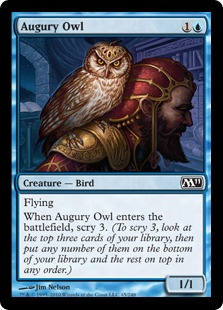 Augury Owl_boxshot