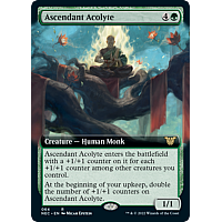 Ascendant Acolyte (Extended Art)