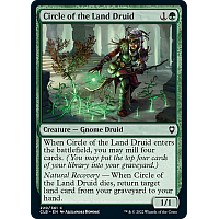 Circle of the Land Druid (Foil)