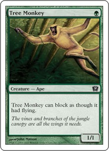 Tree Monkey_boxshot