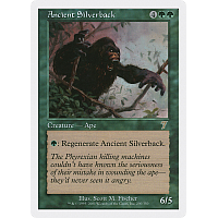 Ancient Silverback