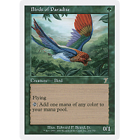 Birds of Paradise (Foil)