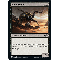 Dune Beetle