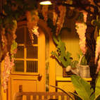 Garden House - Book Nook Kit - Rolife