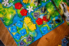 HUTAN: Life in the Rainforest (Nordisk Utgåva)