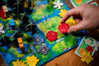 HUTAN: Life in the Rainforest (Nordisk Utgåva)