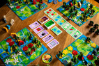 HUTAN: Life in the Rainforest (Nordisk Utgåva)