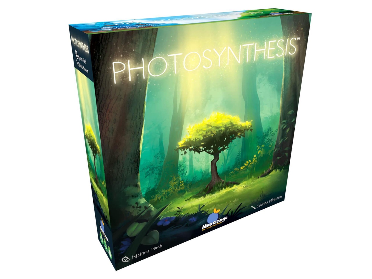 Photosynthesis (Svensk Utgåva)
