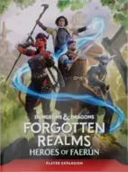 Dungeons & Dragons - Forgotten Realms - Heroes of Faerun