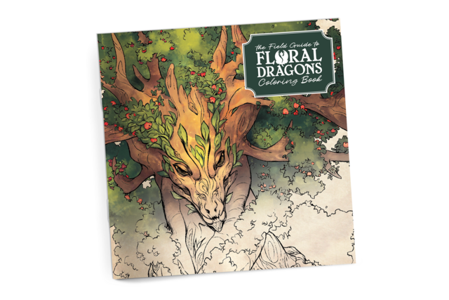 Floral Dragons Colouring Book