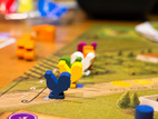 Viticulture Essential Edition