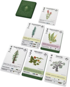 Reforest: Plants of the Pacific Northwest Coast